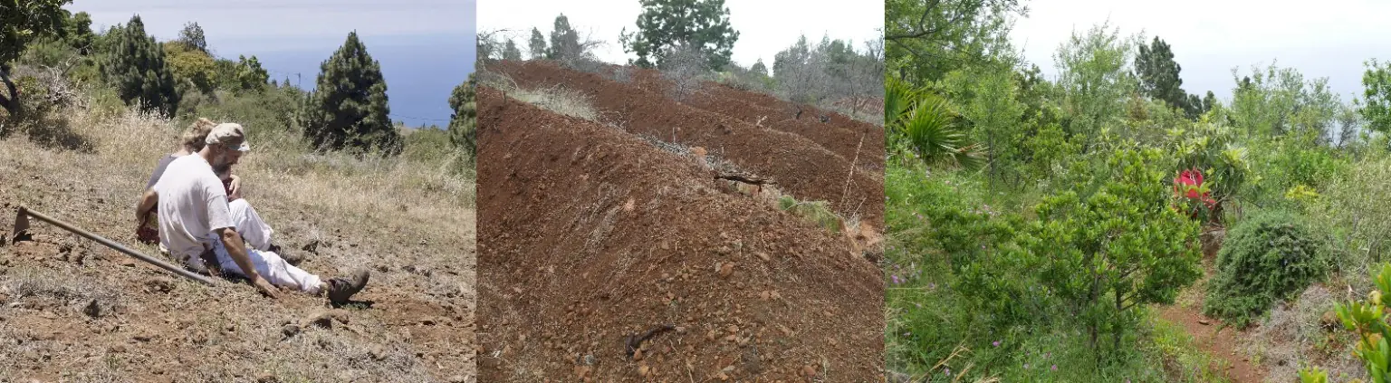 The transformation from degraded land into a fertile oasis