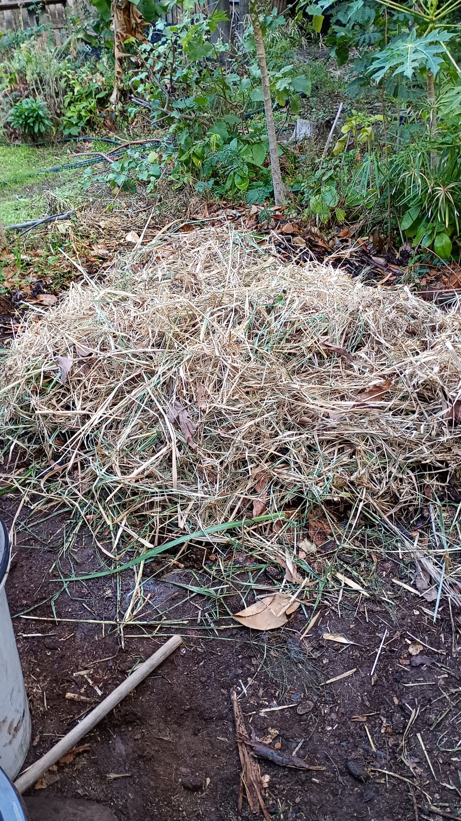 Stroh und trockenes Pflanzenmaterial als Strukturmaterial für den Kompostaufbau