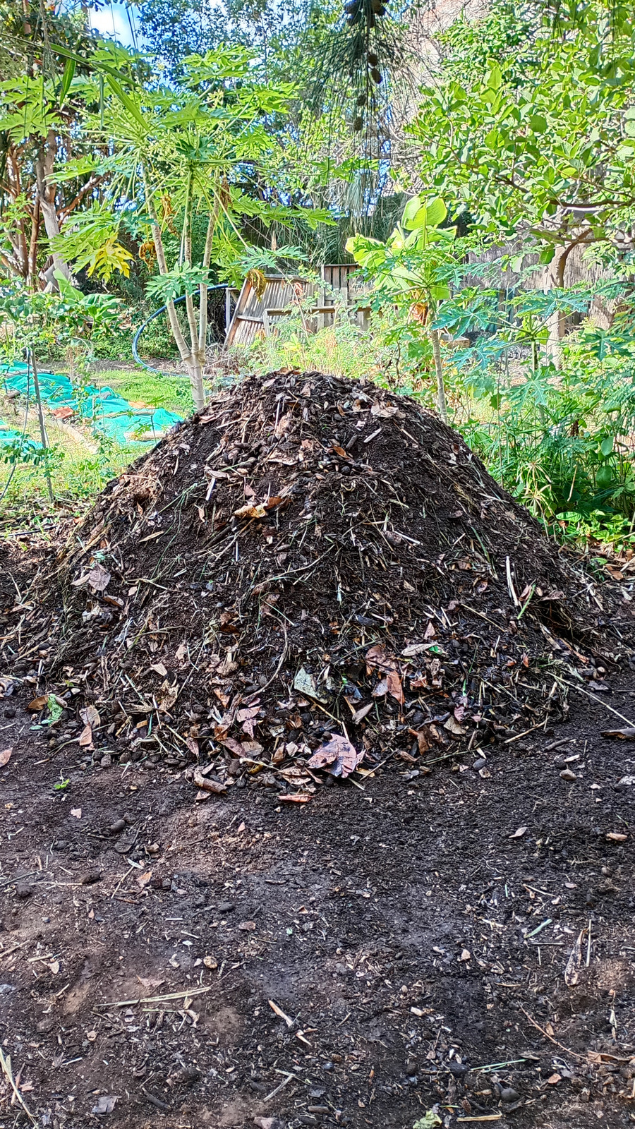 Fertig aufgebauter dunkler Berkeley-Komposthaufen