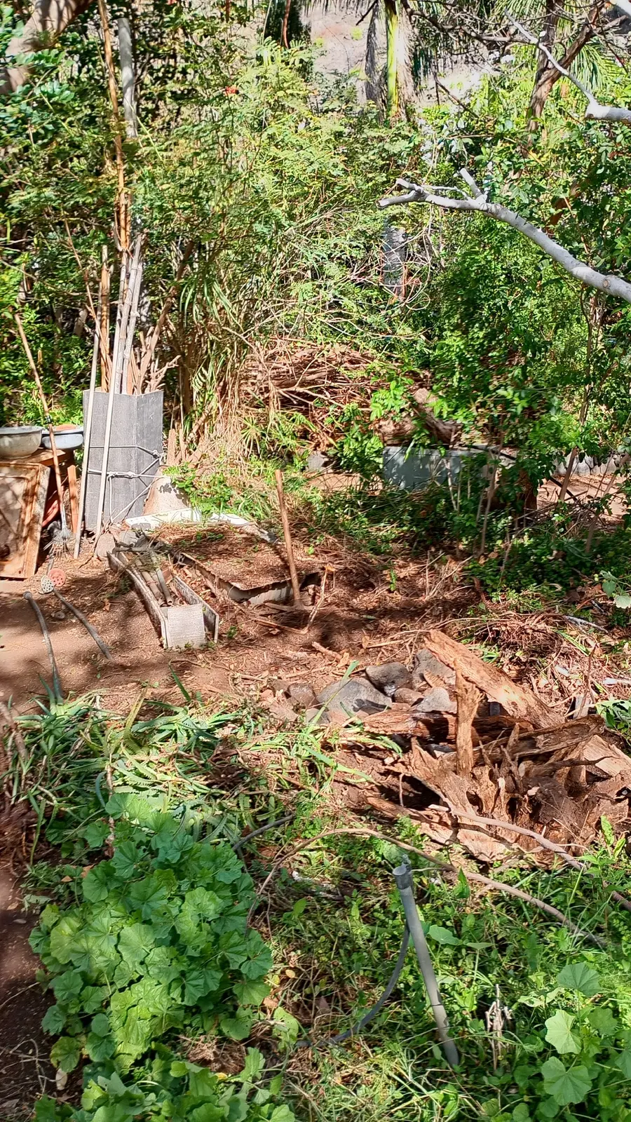 Geschädigte Vegetation auf stark verdichtetem Boden vor der Umgestaltung